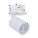 Lampa reflektor spot 3-fazowy 9000 Zuma Line