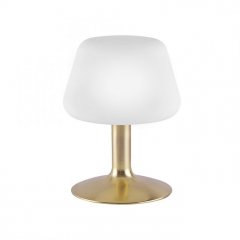 Lampa biurkowa TILL 4078-60 Paul Neuhaus