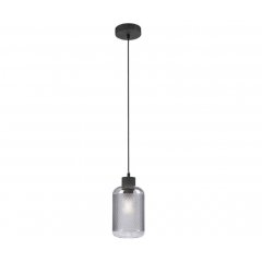 Lampa wisząca BOLETUS 2006-25 Paul Neuhaus